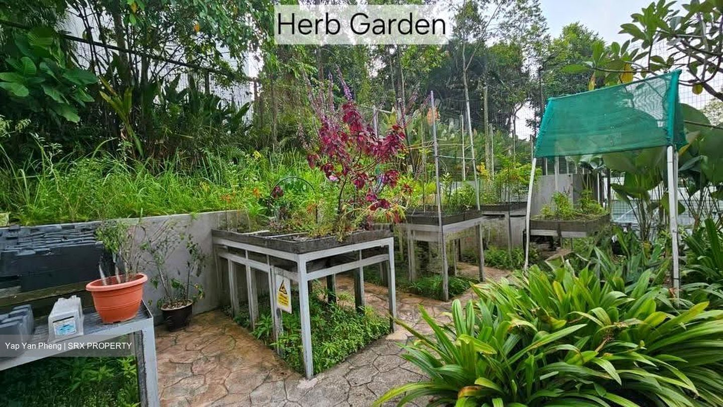 Bukit Panjang Ring Road (D23), Condominium #613464991